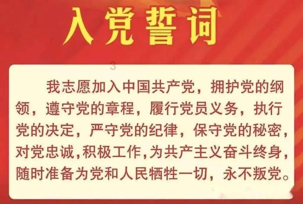 猫猫冒险团