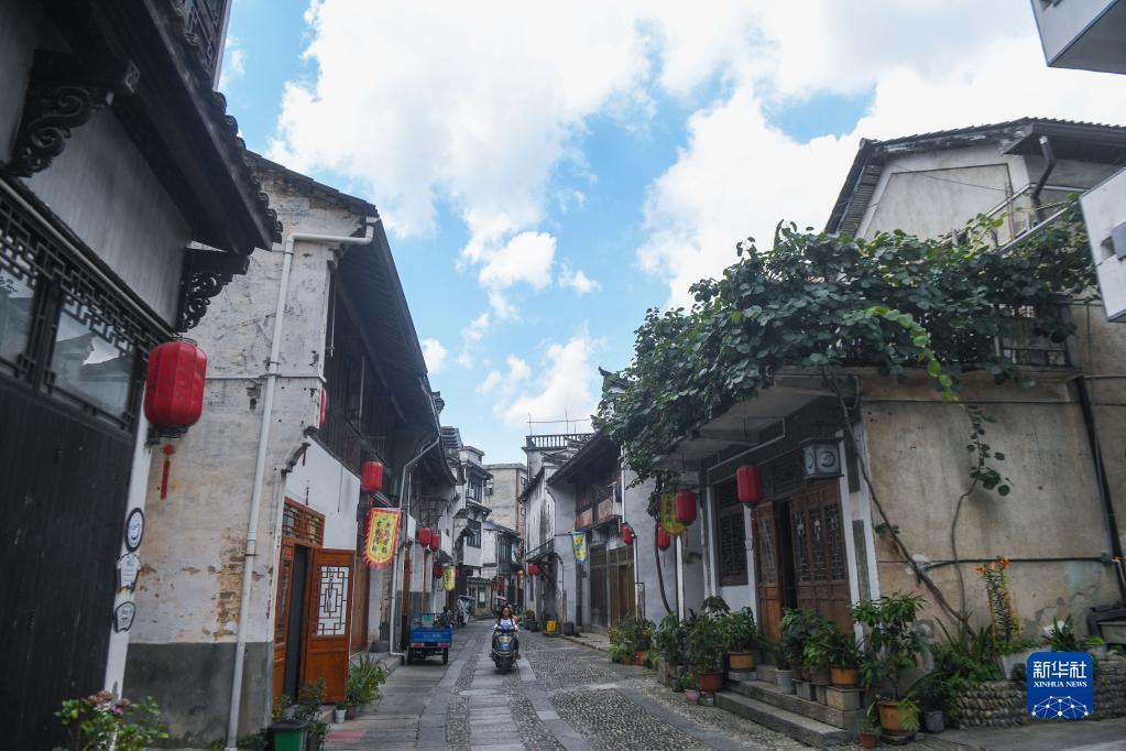 萌兔兔闯关